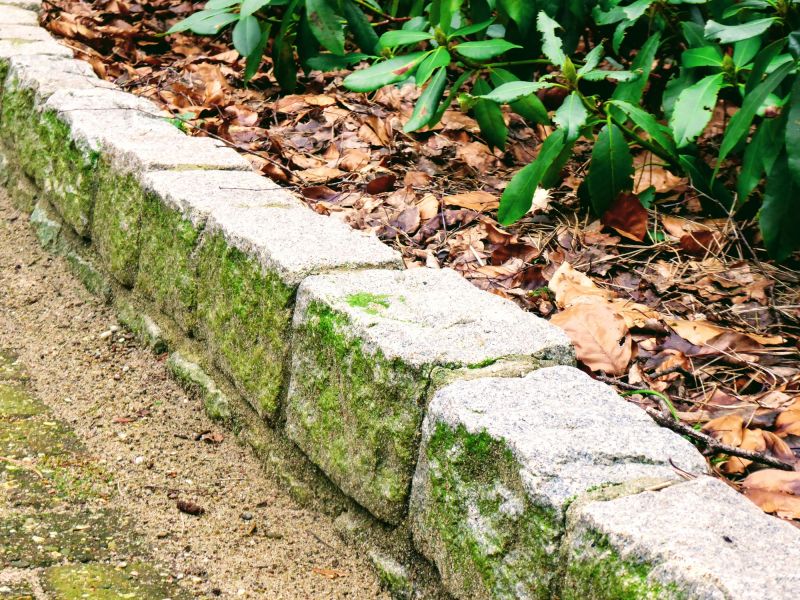 Hardscape Curbing Installation