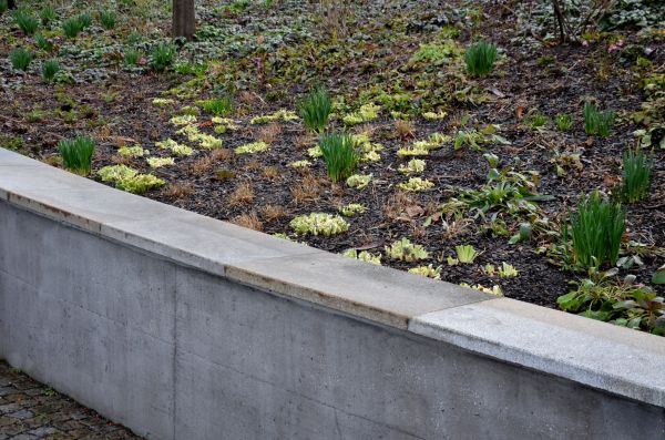 Concrete Wall Construction in Costa Mesa