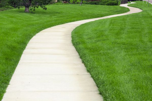 Pathway Replacement in Costa Mesa