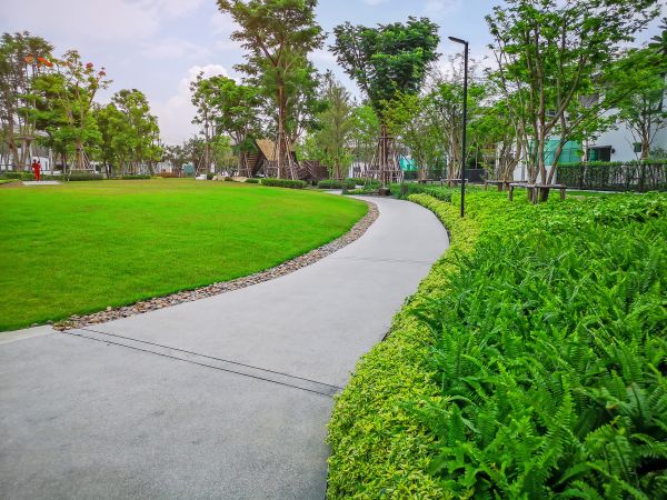 Cement Walkway Service in Costa Mesa
