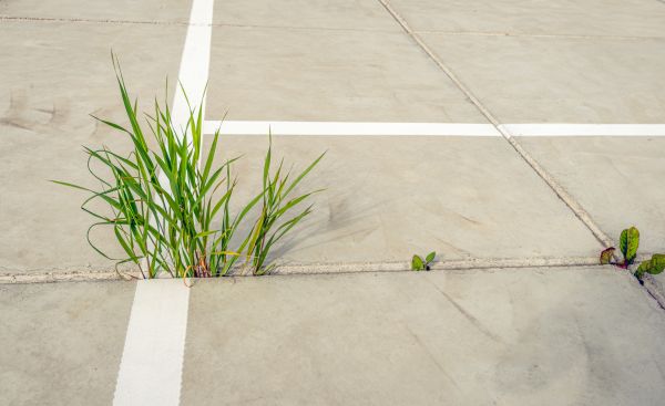 Concrete Parking Installation in Costa Mesa