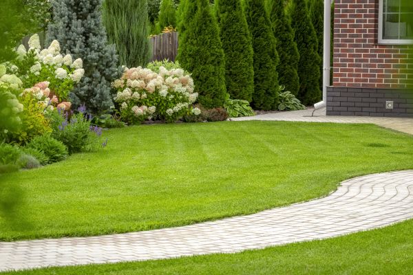 Landscape Walkway Installation in Costa Mesa